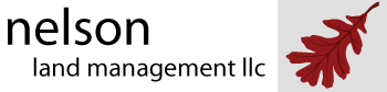 NLM Logo
